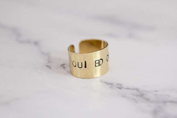 Anello LEA - immagine 5